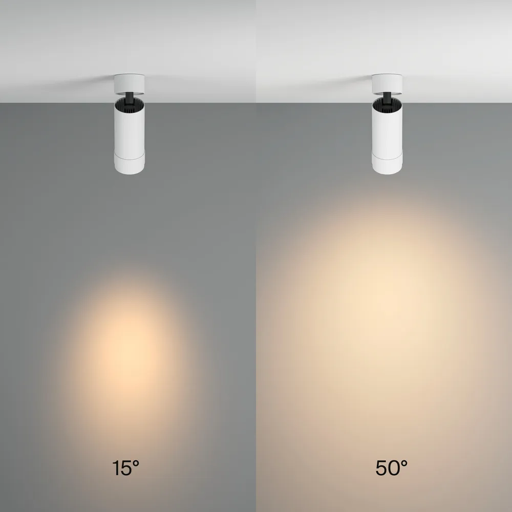 Светильник потолочный Maytoni Focus Zoom C055CL-L12W3K-Z-W