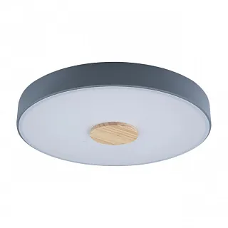 Светильник потолочный Loft it Axel 10003/24 Grey