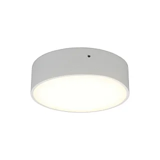Светильник потолочный Aployt Evon APL.0113.09.12