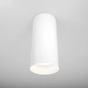 Потолочный светильник Technical C010CL-01W