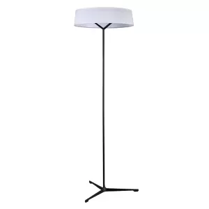 Торшер Divinare ALMA 1029/06 PN-11