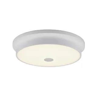 Светильник потолочный Citilux Фостер-2 CL706230