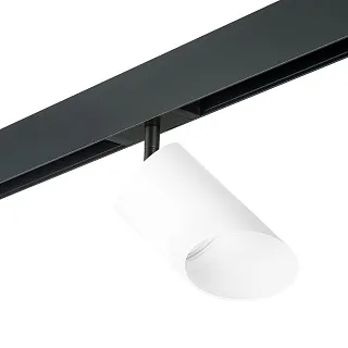 Светильник с комплектом Lightstar Rullo PRO348686