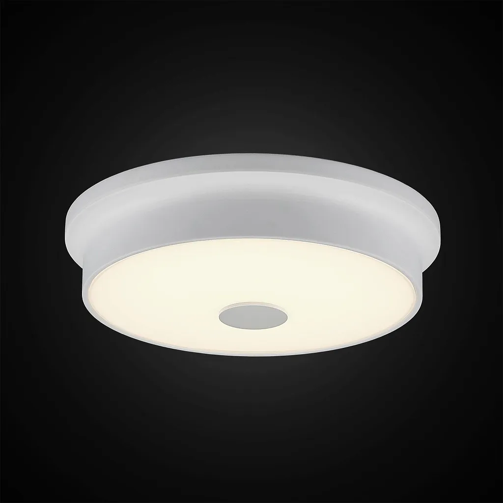 Светильник потолочный Citilux Фостер-2 CL706220