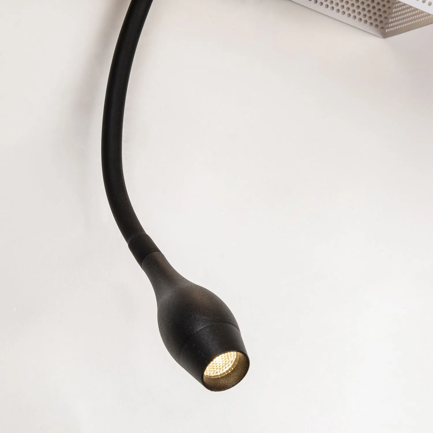 Бра Favourite TWIN 4066-2W