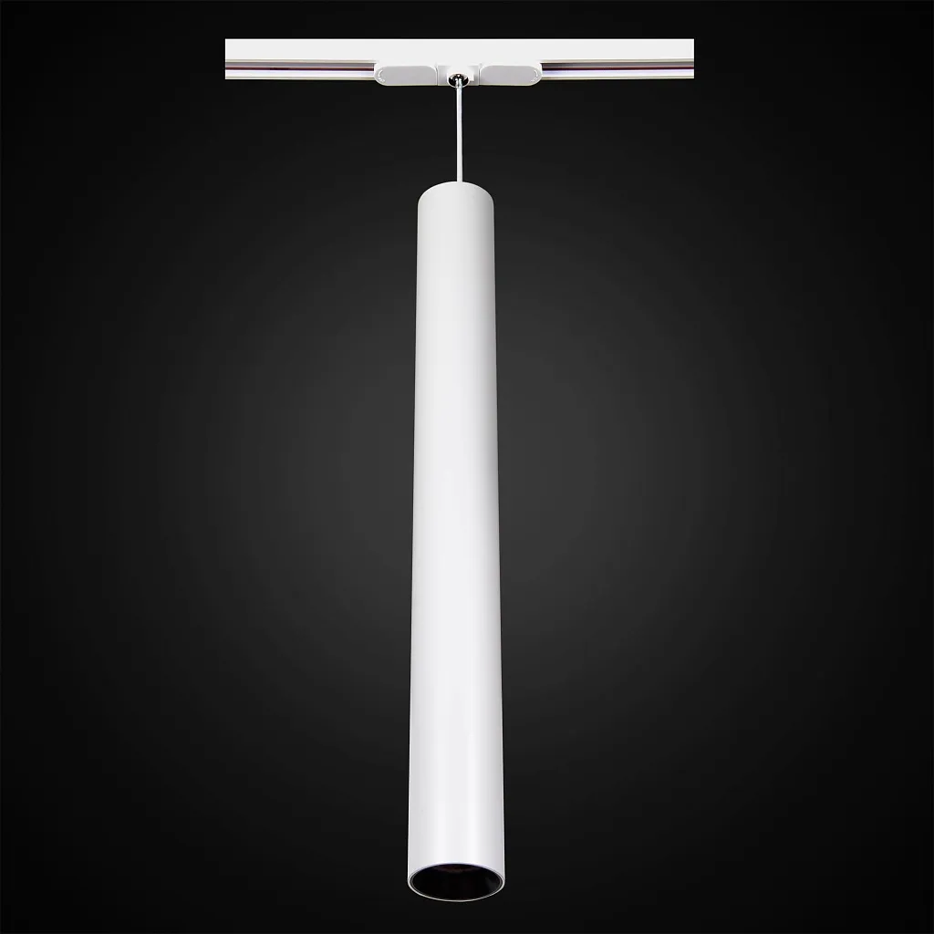 Светильник трековый Citilux Тубус CL01PTL120