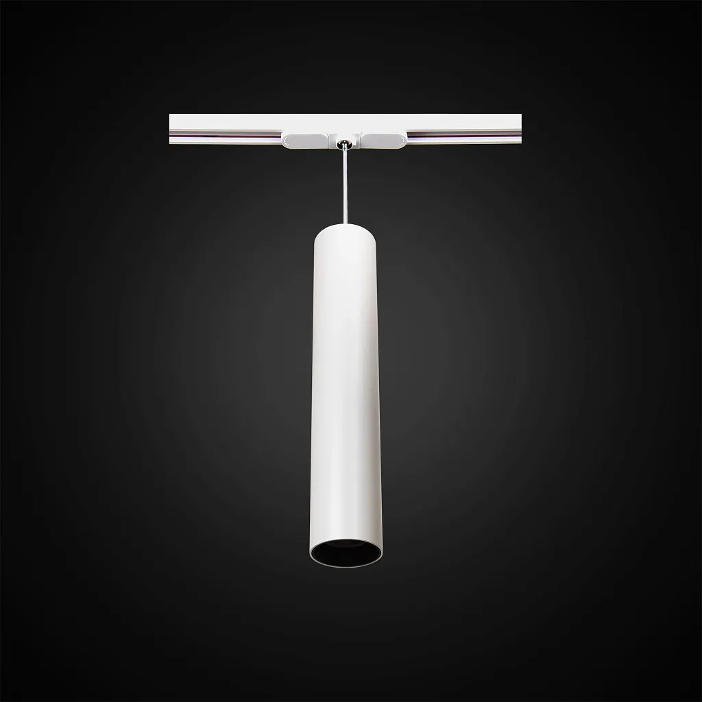 Светильник трековый Citilux Тубус CL01PT120