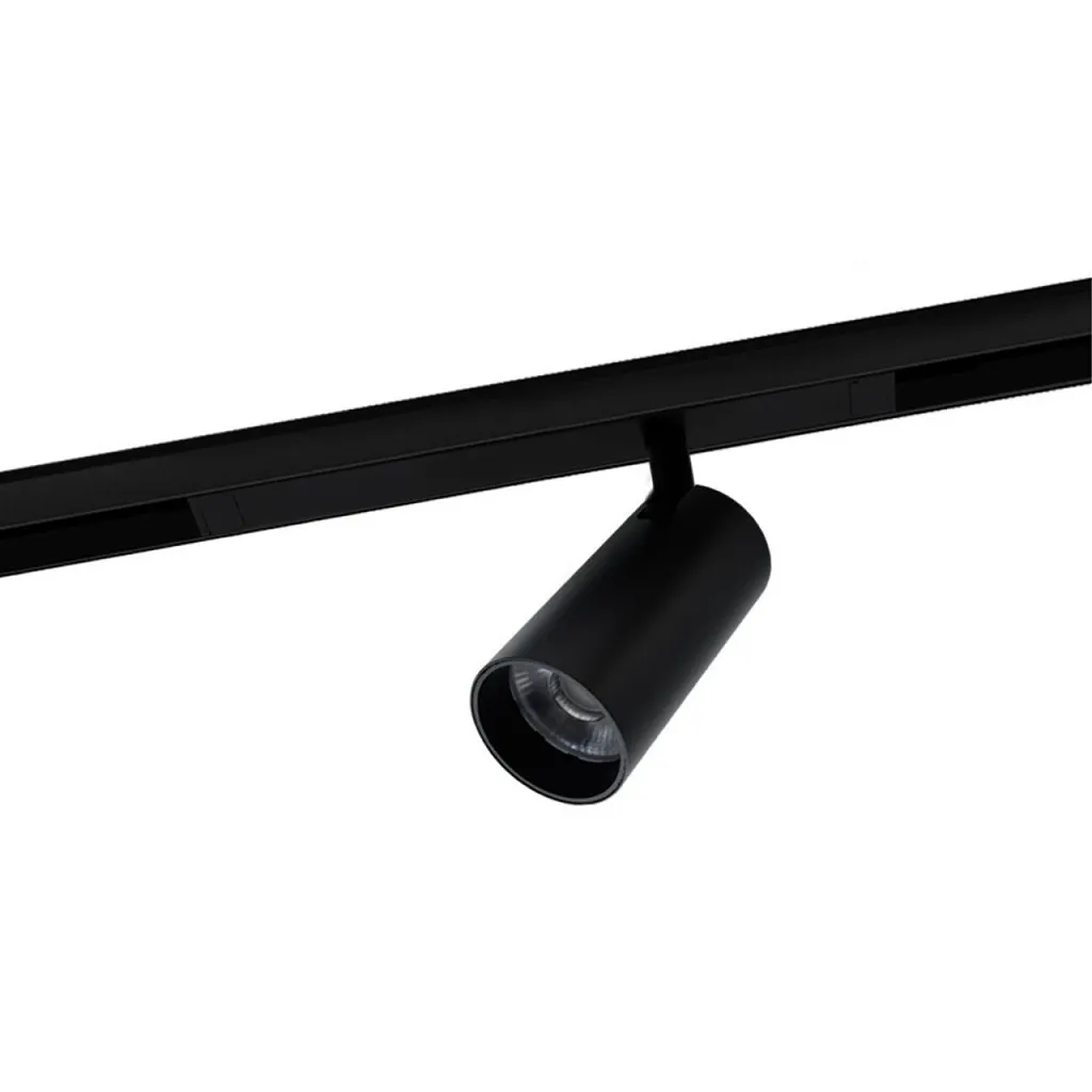 Светильник трековый магнитный Aployt Magnetic track 220 APL.0205.00.20