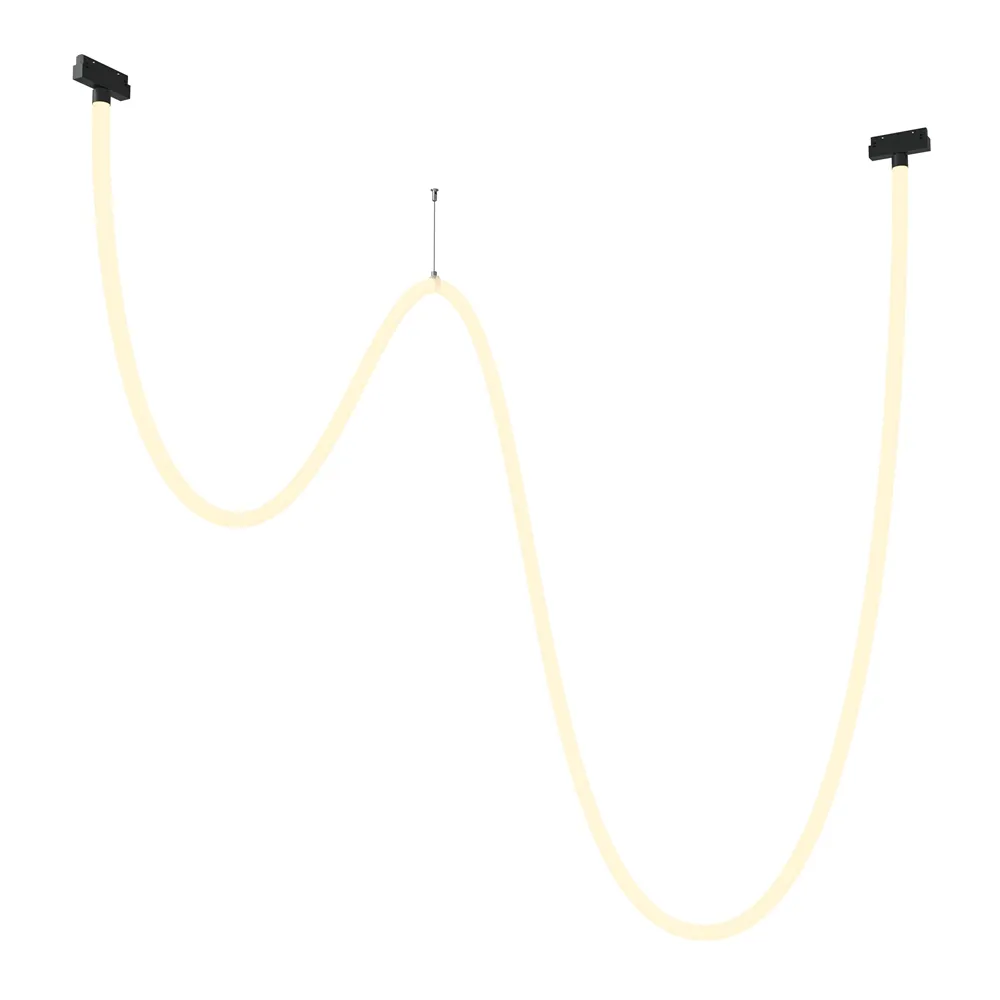 Светильник трековый магнитный подвесной Maytoni Tau TR101-2-100W3K-B