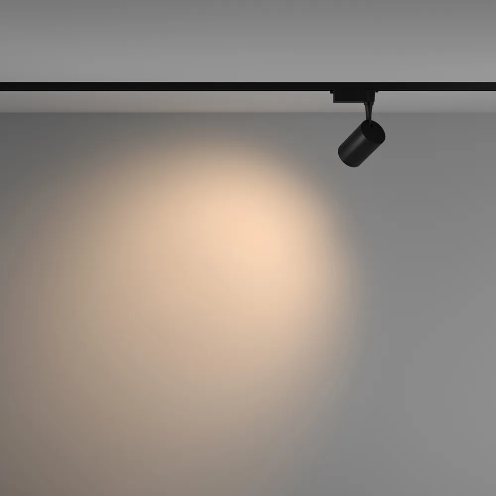 Светильник трековый Maytoni Vuoro TR003-1-10W3K-W-B