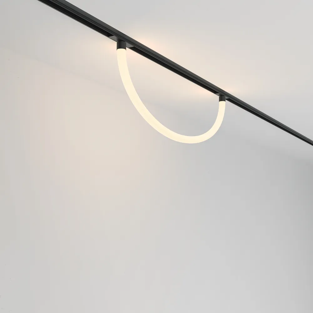 Светильник трековый магнитный подвесной Maytoni Tau TR101-2-20W3K-B