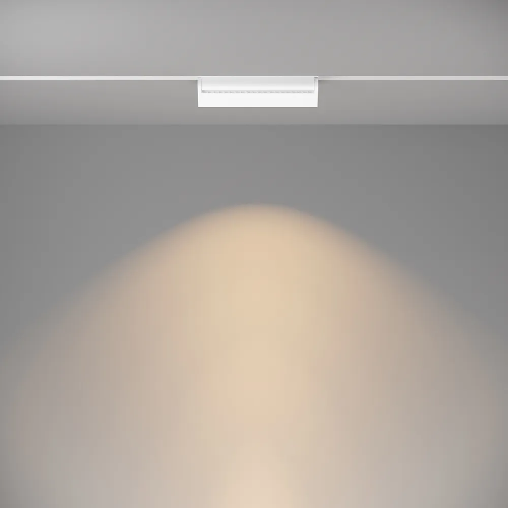 Светильник трековый магнитный Maytoni Basis Rot TR013-2-20W3K-W