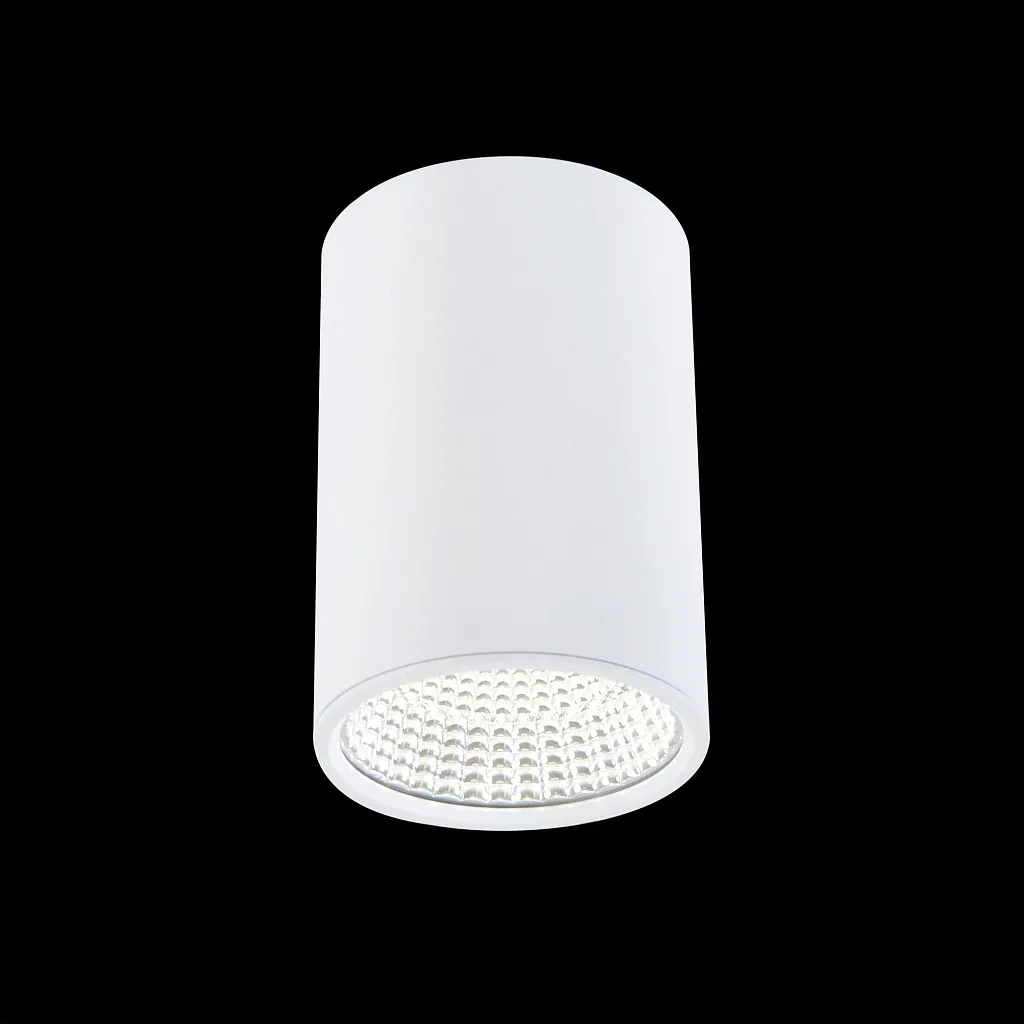 Светильник потолочный Citilux Стамп CL558100