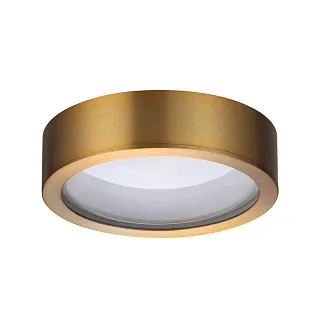 Светильник накладной Odeon Light Reus 4342/7CL
