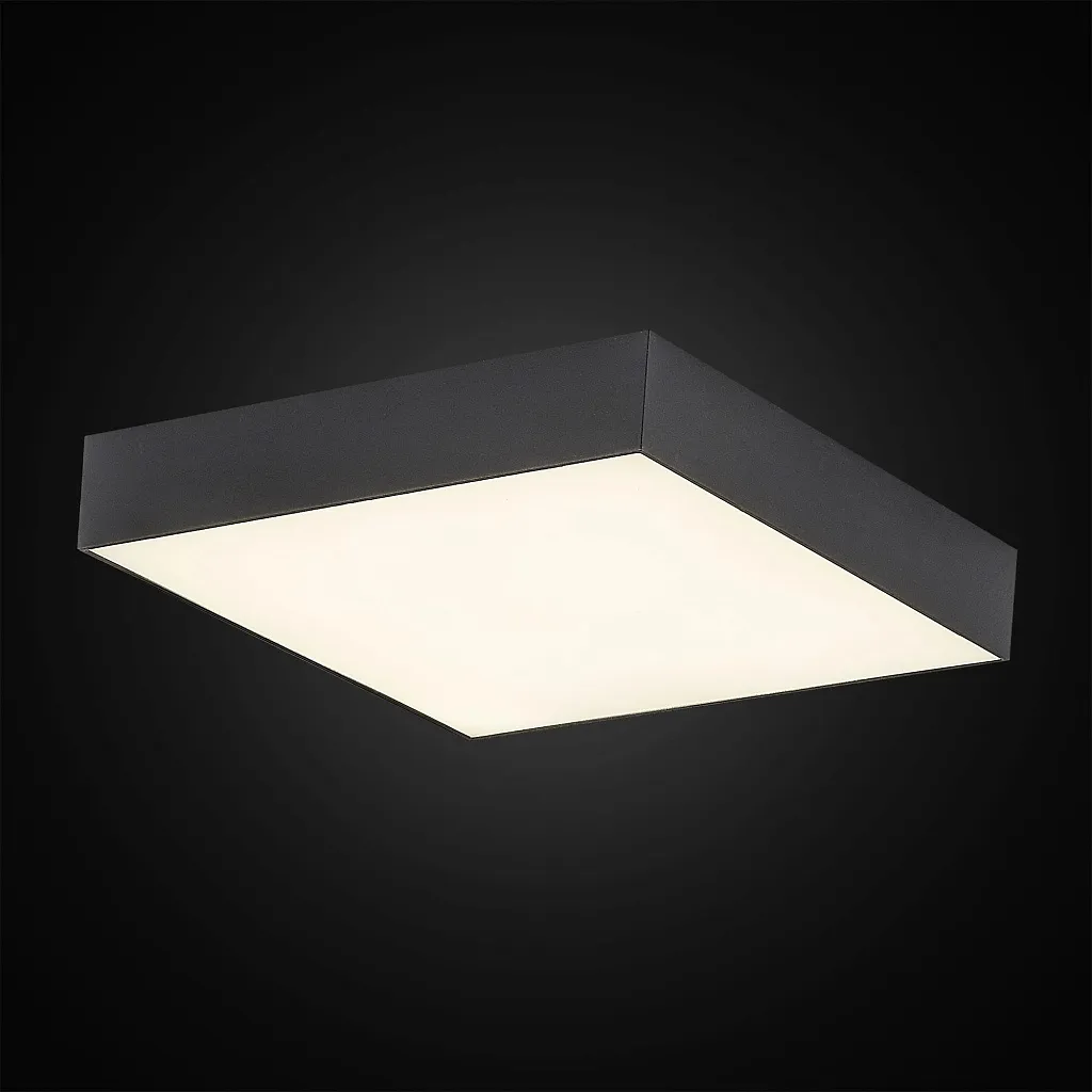 Светильник потолочный Citilux Тао CL712X242N