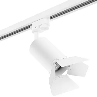 Светильник с комплектом Lightstar Rullo R1T436436