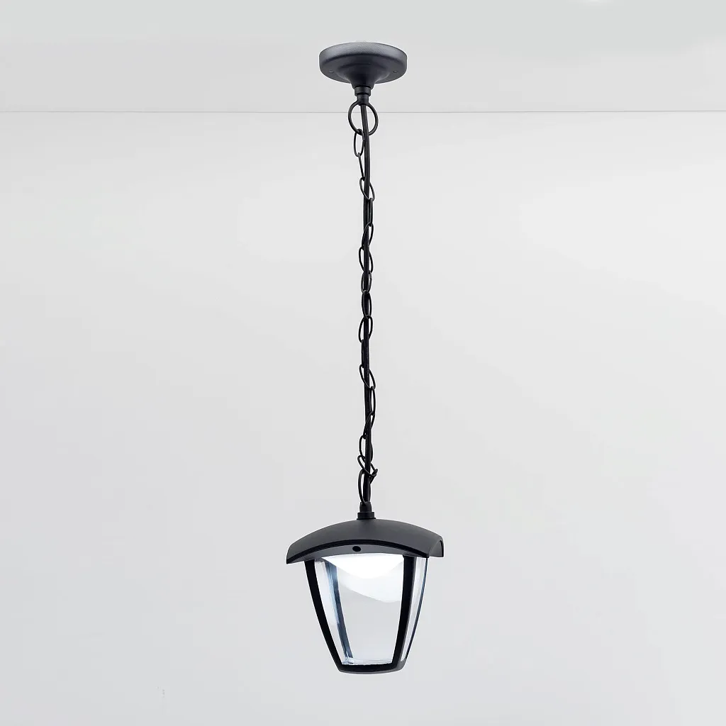 Светильник уличный подвесной Citilux Улица CLU04P