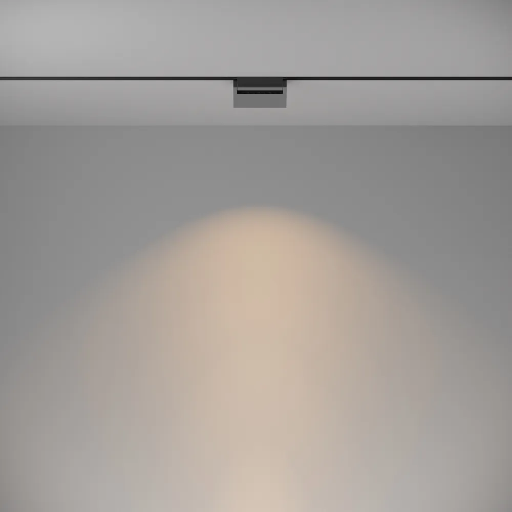 Светильник трековый магнитный Maytoni Basis Rot TR075-2-10W3K-B