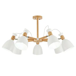 Светильник потолочный Evoluce Balcamo SLE103802-07