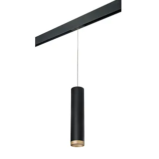 Светильник с комплектом для трека Lightstar Rullo PRORP49740