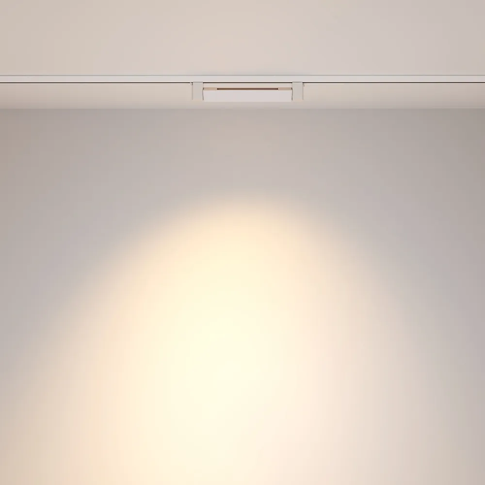 Светильник трековый Maytoni Points Rot TR010-1-10W3K-M-W