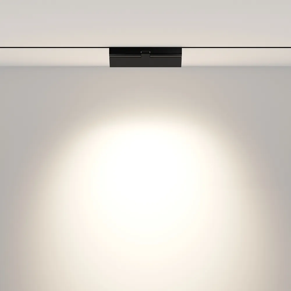 Светильник трековый магнитный Maytoni Points Rot TR033-2-12W4K-B