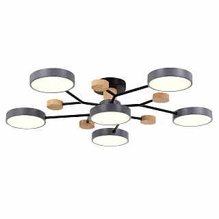 Светильник потолочный Evoluce Faema SLE6006-702-06