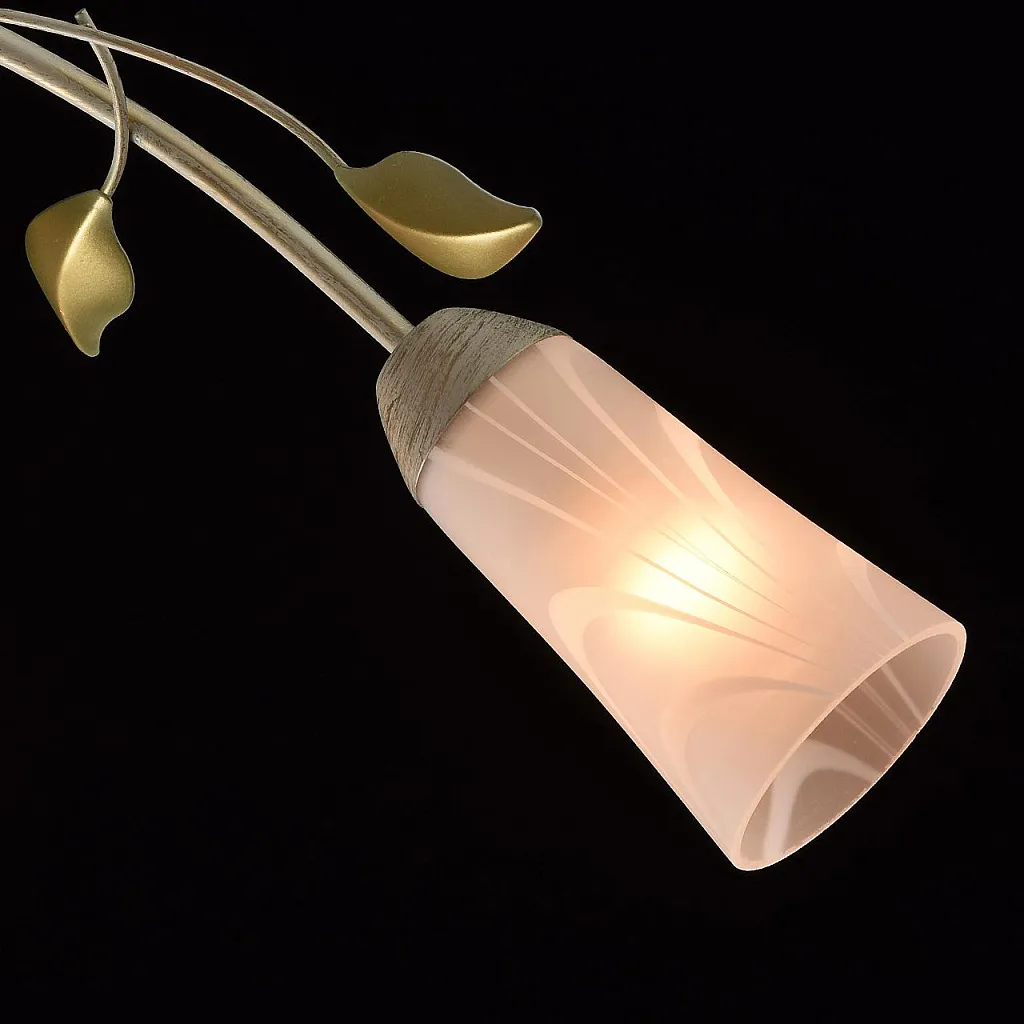 Люстра потолочная MW-Light Восторг 242015306