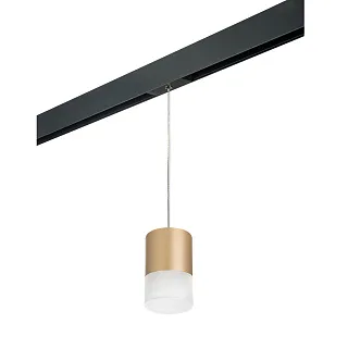 Светильник с комплектом для трека Lightstar Rullo PRORP349081