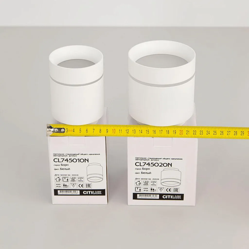 Светильник накладной Citilux Борн CL745010N