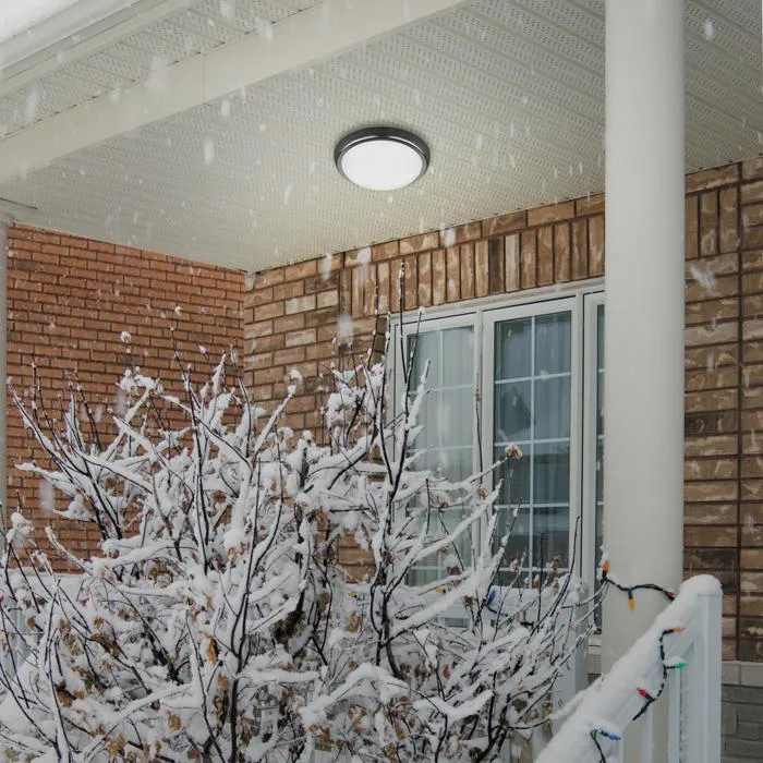 Светильник уличный потолочный Novotech Opal 357507