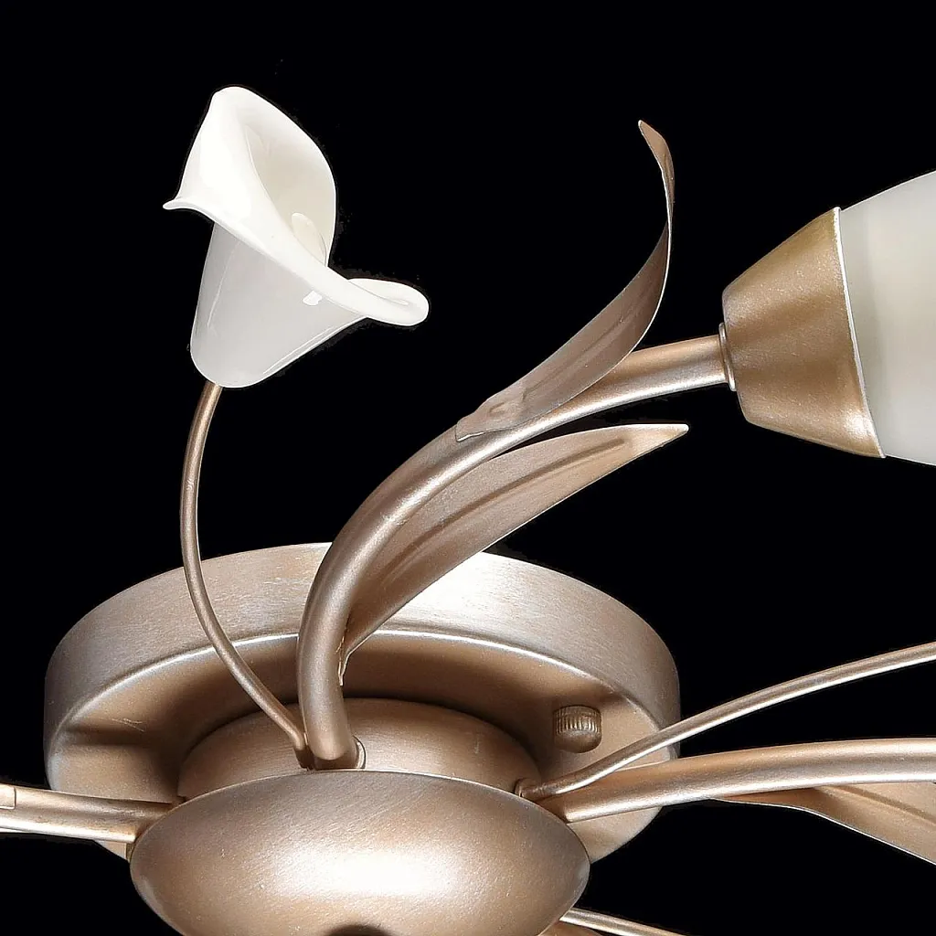 Люстра потолочная MW-Light Восторг 242016205