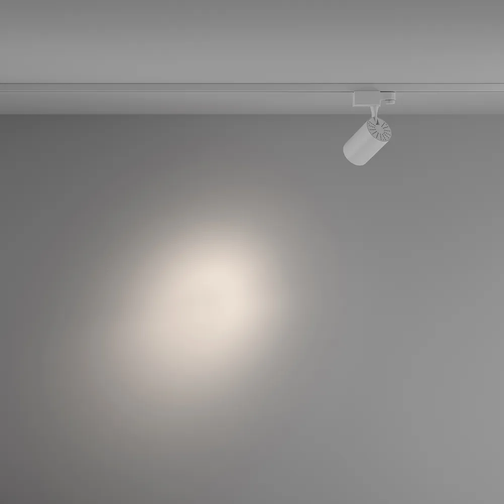 Светильник трековый Maytoni Vuoro TR029-3-10W4K-S-W