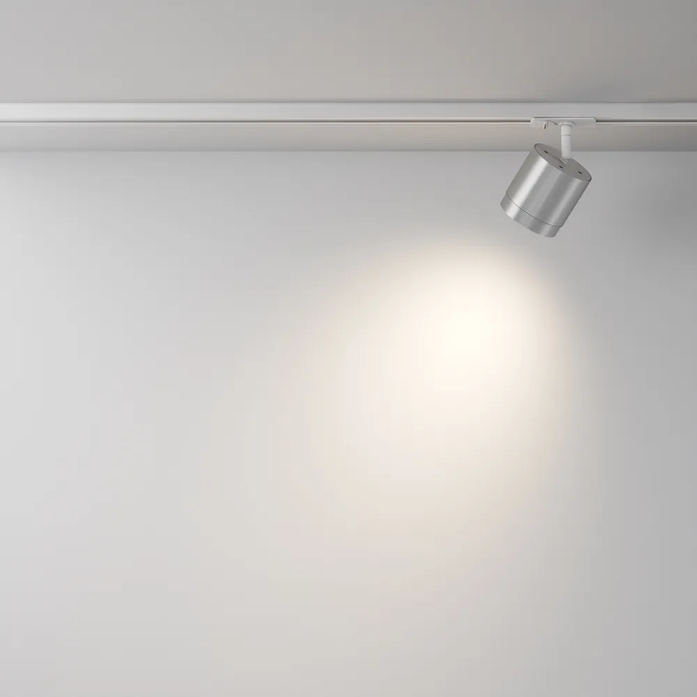 Светильник трековый Maytoni Polar TR088-1-GX53-S
