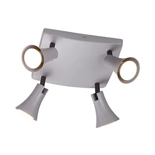 Спот Odeon Light Reanna 3825/4C