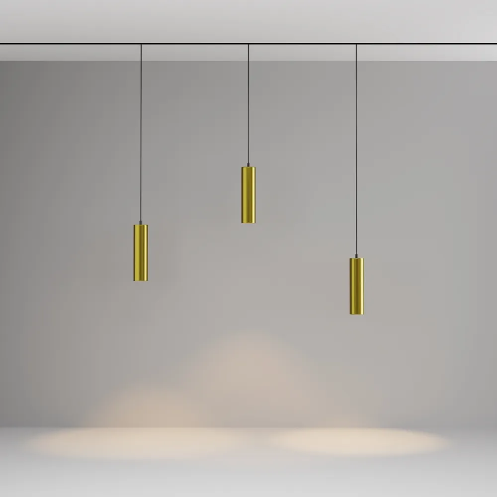 Светильник трековый магнитный подвесной Maytoni Focus Led TR041-2-12W3K-BBS