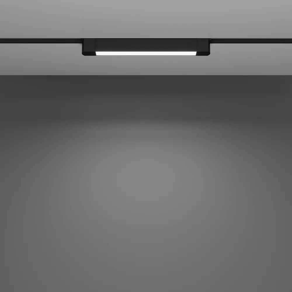 Светильник трековый Maytoni Basis Rot TR104-1-10W4K-B