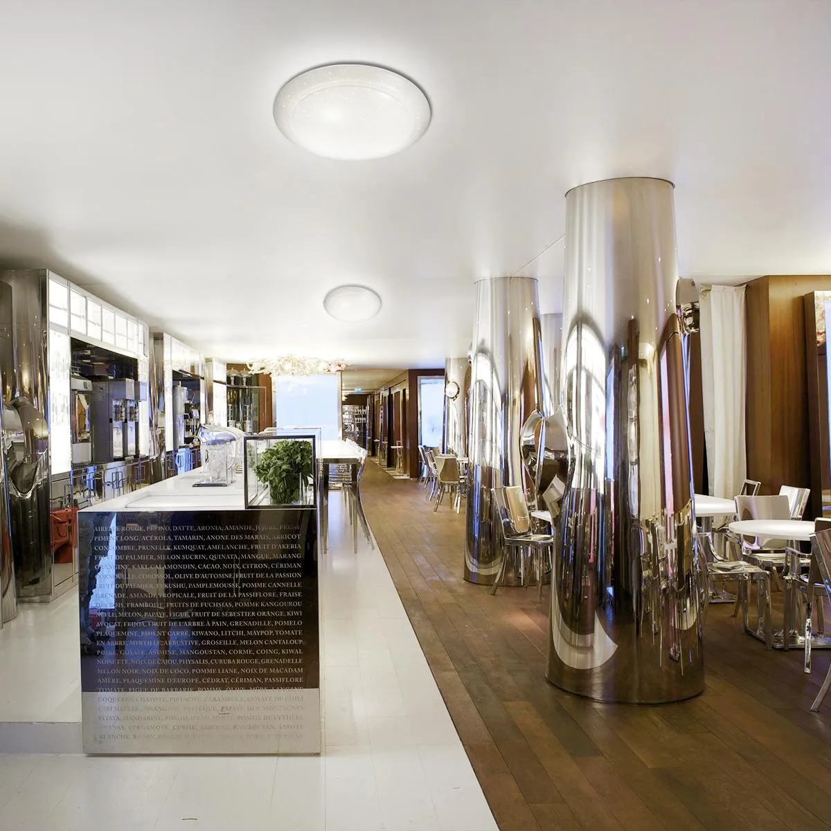 Светильник настенно-потолочный Sonex Elle 2042/ML