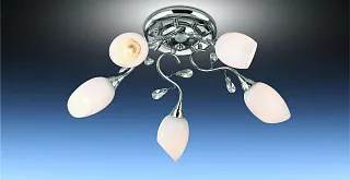 Люстра потолочная Odeon Light Fiera 1603/5