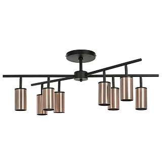 Люстра потолочная Lightstar Rullo LR728308