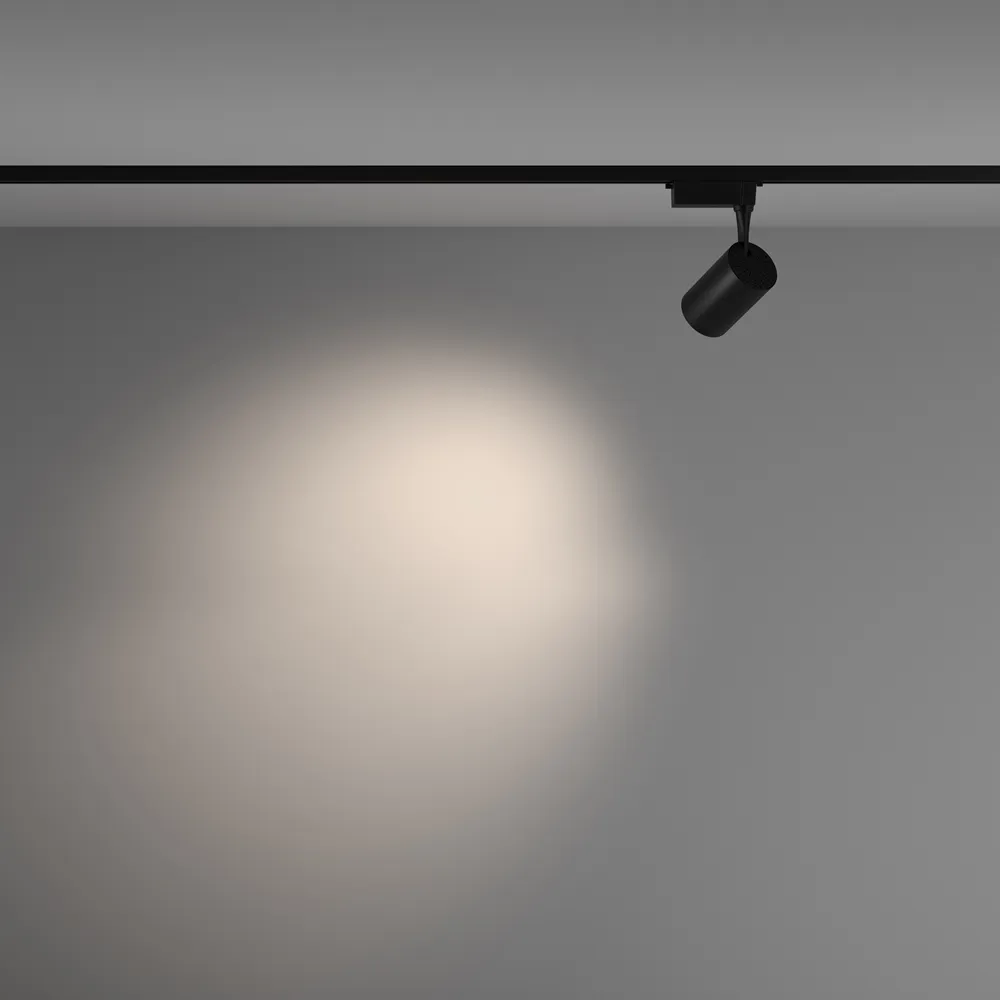 Светильник трековый Maytoni Vuoro TR003-1-10W4K-M-B