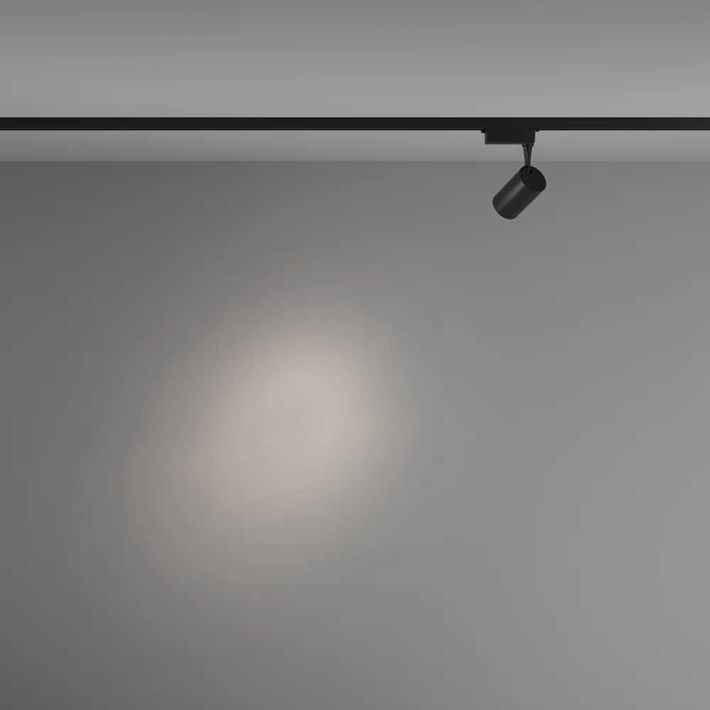 Светильник трековый Maytoni Vuoro TR003-1-6W4K-S-B