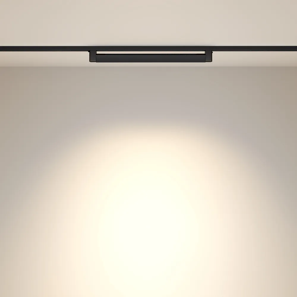 Светильник трековый Maytoni Points Rot TR010-1-20W3K-M-B