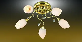 Люстра потолочная Odeon Light Fiera 1604/5