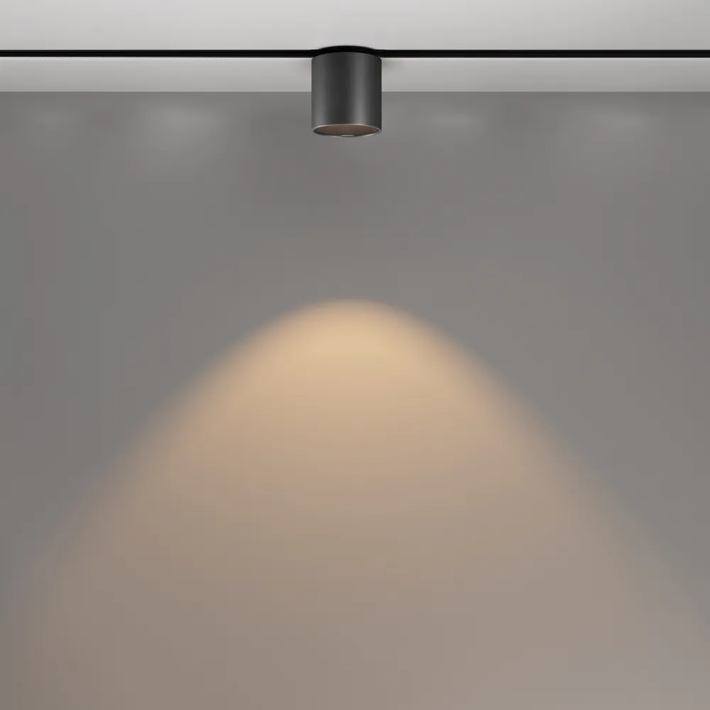 Светильник трековый магнитный Maytoni Alfa S TR132-2-7W3K-B