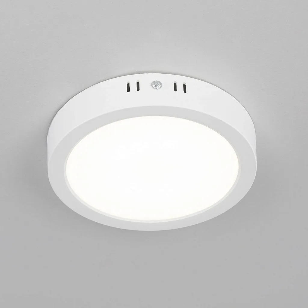 Светильник потолочный Citilux Галс CL5516N