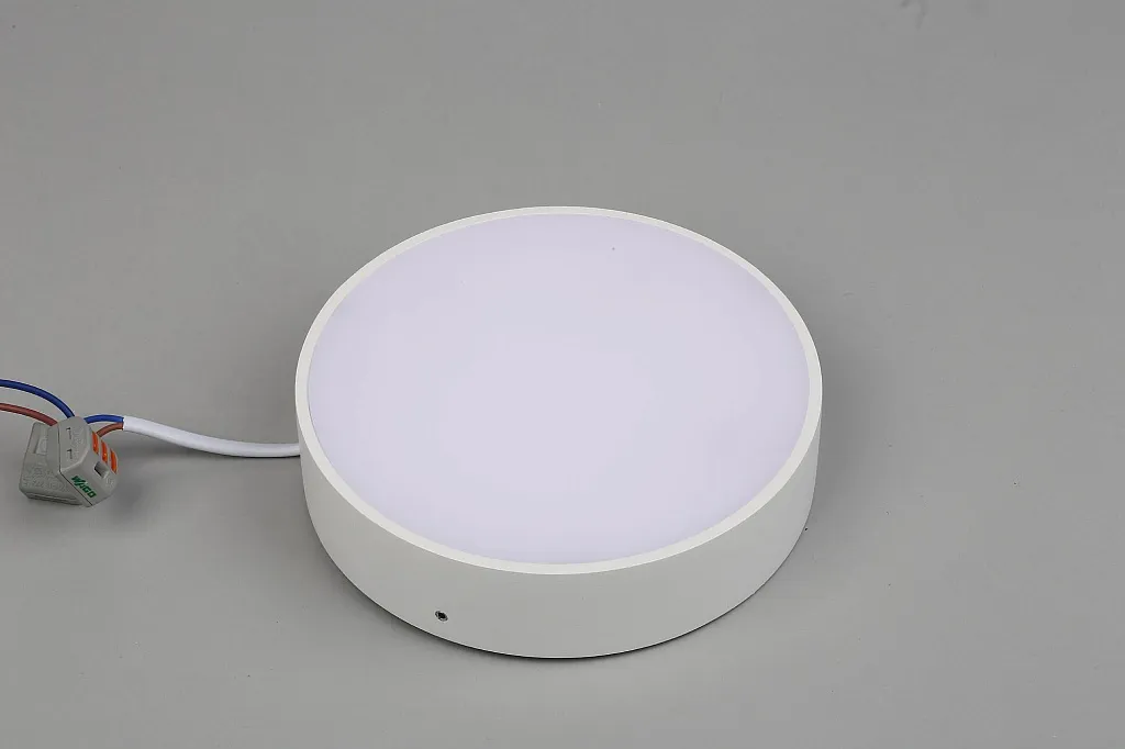 Светильник потолочный Aployt Evon APL.0114.09.18