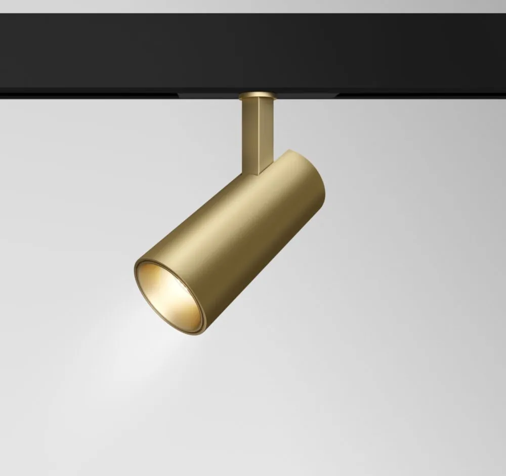Светильник трековый магнитный Maytoni Focus Led TR019-2-15W3K-MG