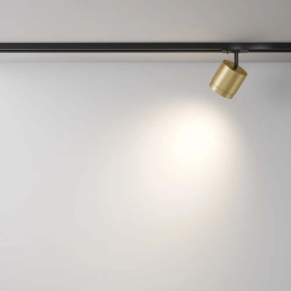 Светильник трековый Maytoni Polar TR088-1-GX53-MG