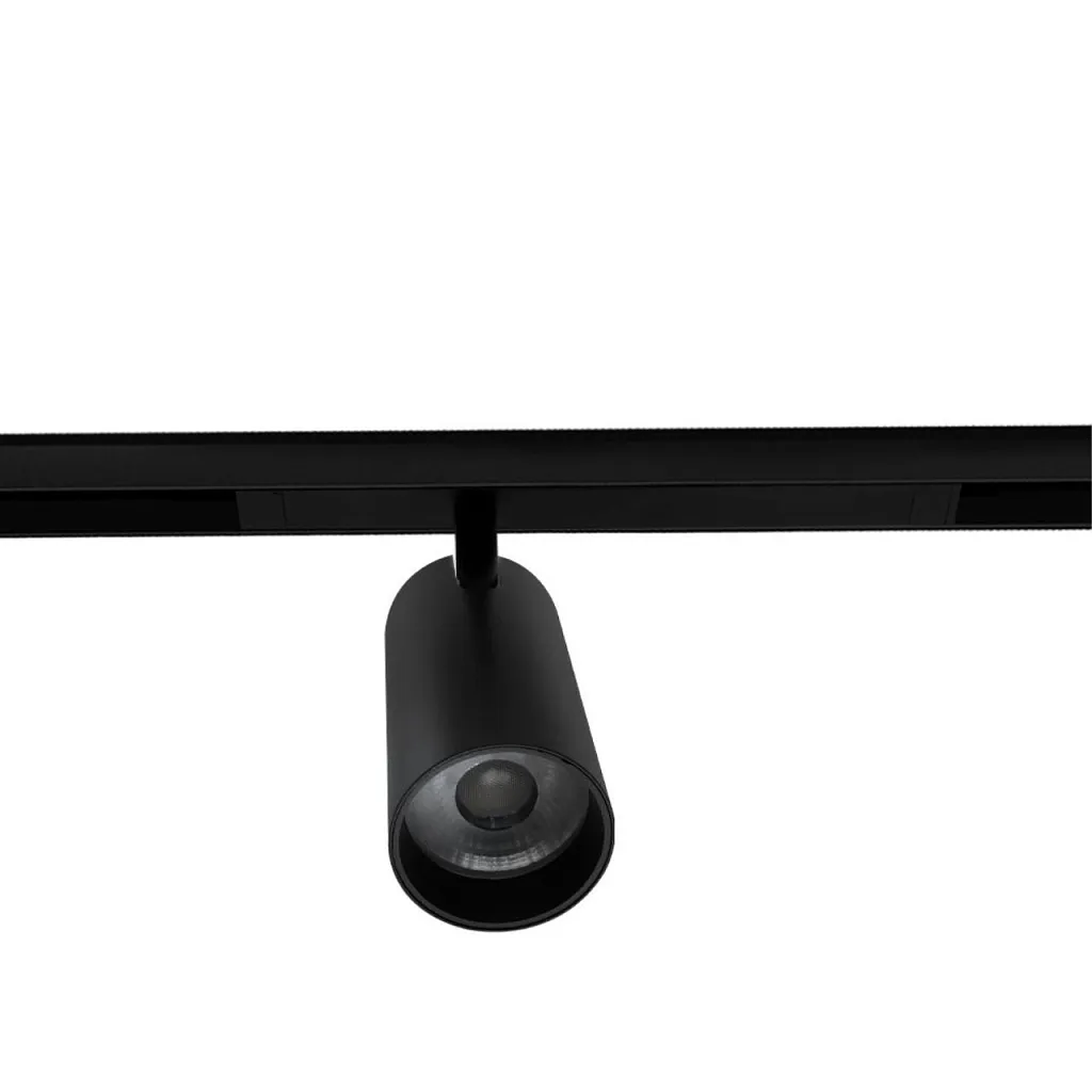 Светильник трековый магнитный Aployt Magnetic track 220 APL.0205.00.20